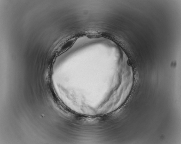 X0000114990166200911161522