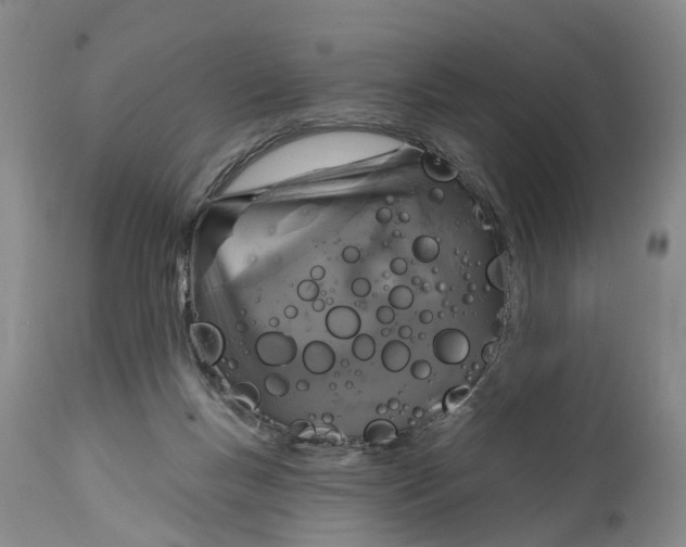 X0000114990167200911161522