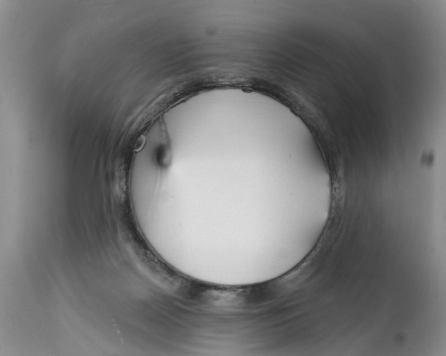 X0000114990170200911161522