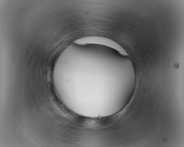 X0000114990174200911161522