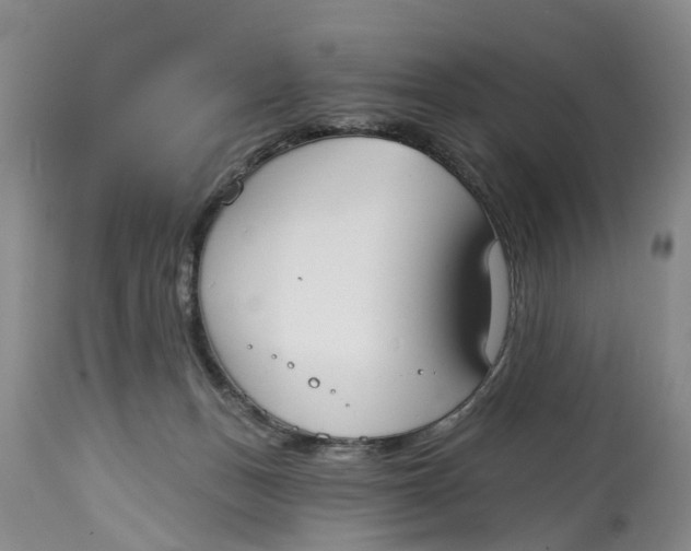 X0000114990175200911161522