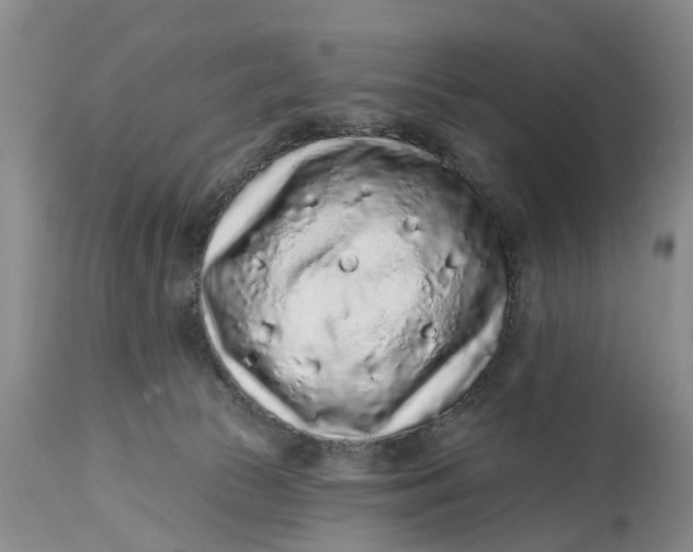 X0000114990177200911161522