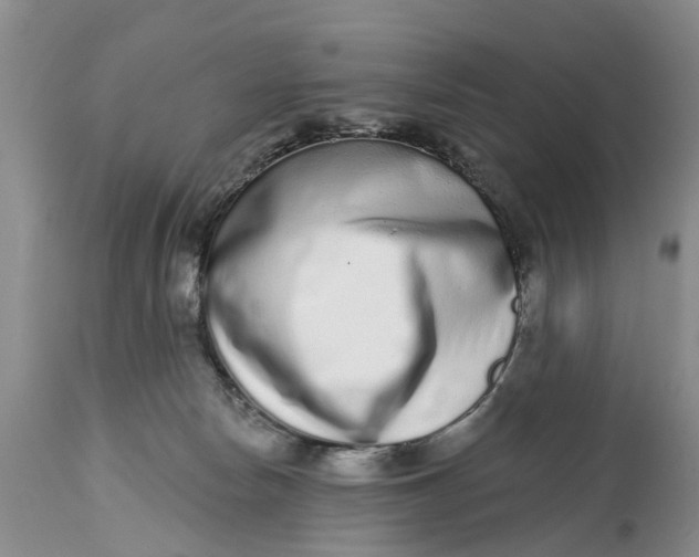 X0000114990178200911161522