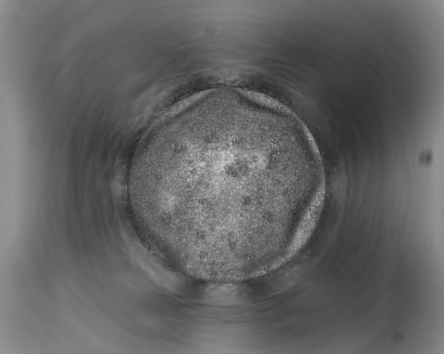 X0000114990181200911161522