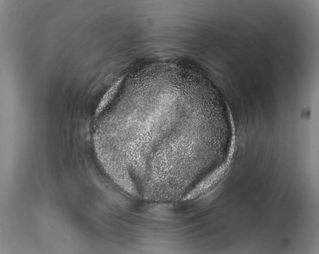 X0000114990182200911161522