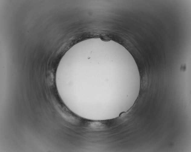 X0000114990183200911161522