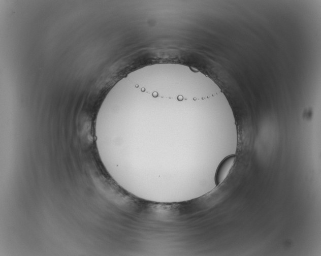 X0000114990187200911161522