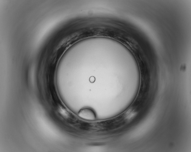 X0000114990189200911161522