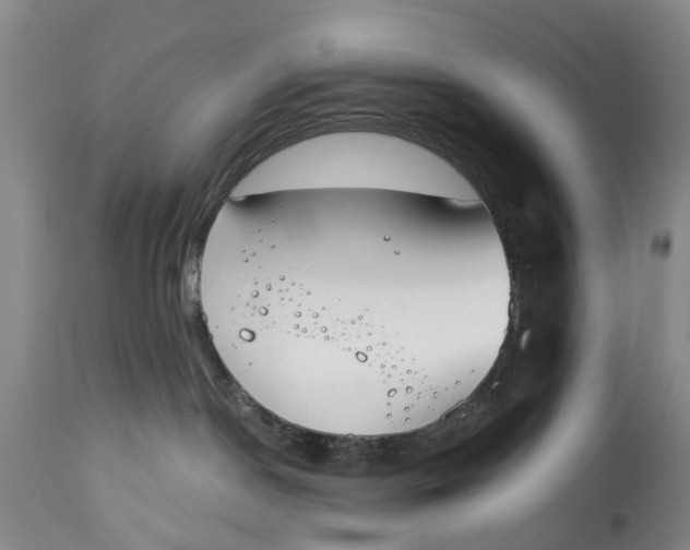 X0000114990190200911161522