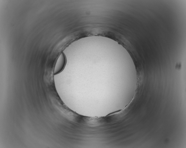 X0000114990191200911161522