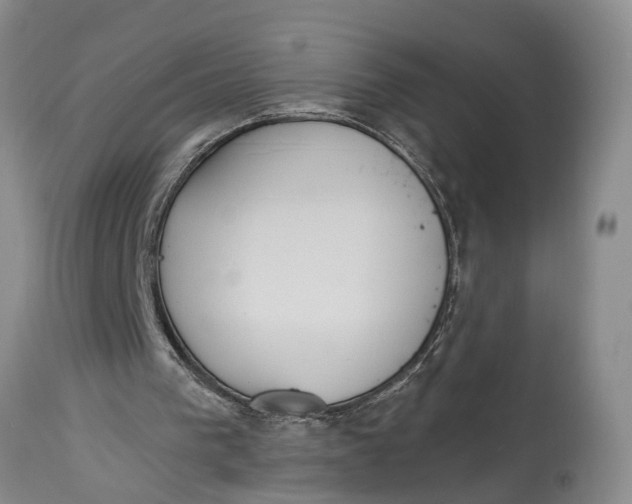 X0000114990193200911161521