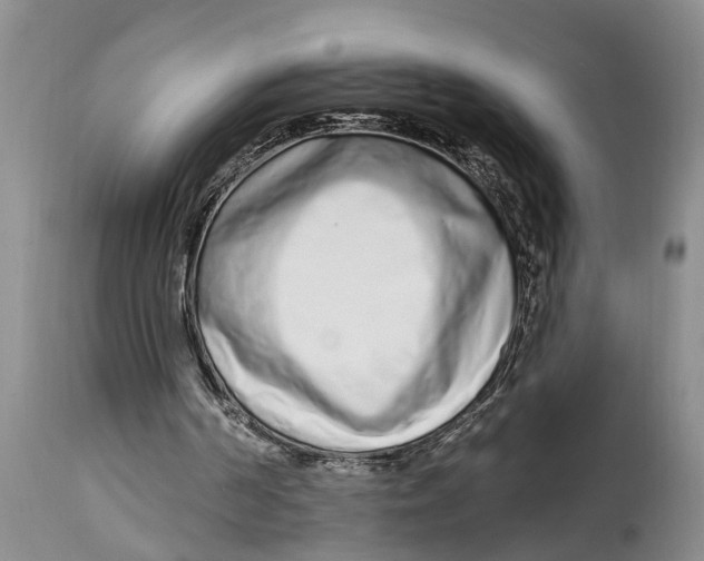 X0000114990194200911161521