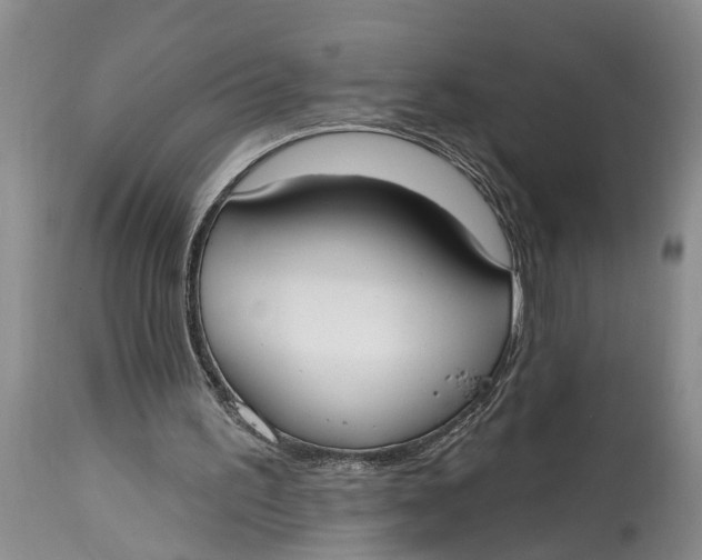 X0000114990195200911161521