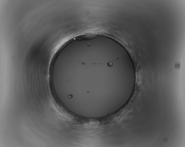 X0000114990196200911161521