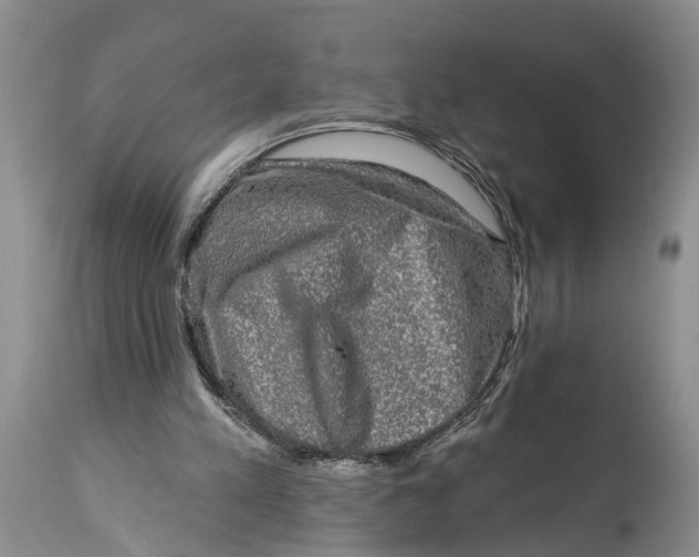 X0000114990197200911161521