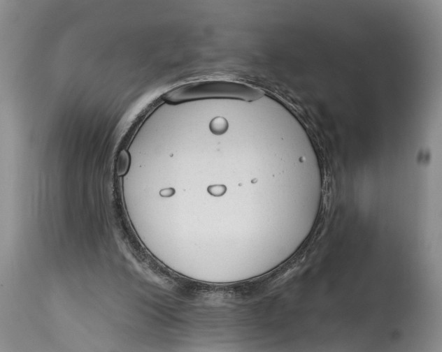 X0000114990200200911161521