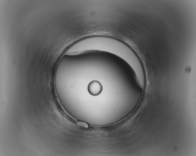 X0000114990201200911161521