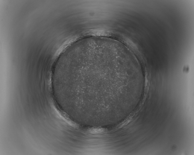 X0000114990202200911161521