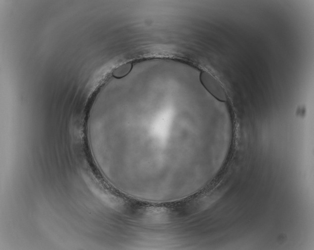 X0000114990203200911161521