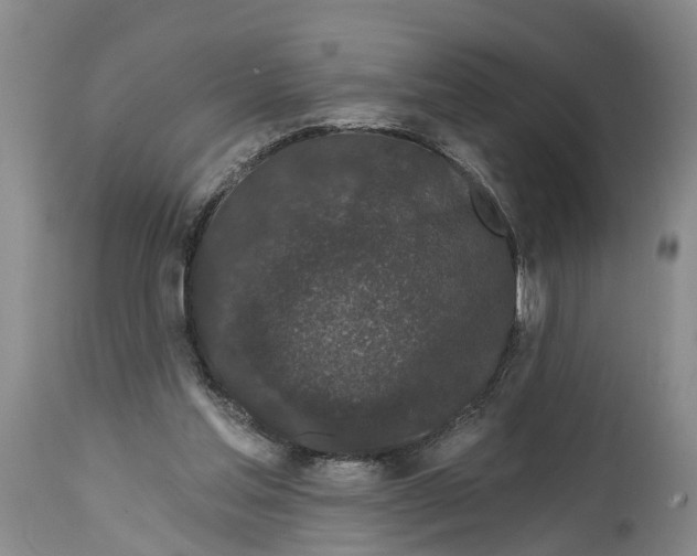 X0000114990205200911161521