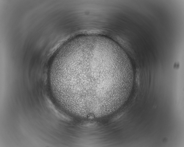 X0000114990206200911161521