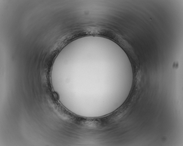 X0000114990209200911161521