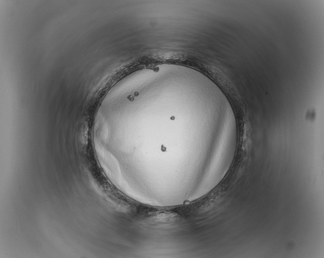 X0000114990210200911161521