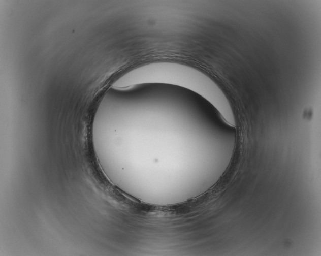 X0000114990211200911161521