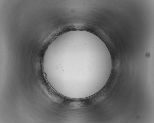 X0000114990213200911161521