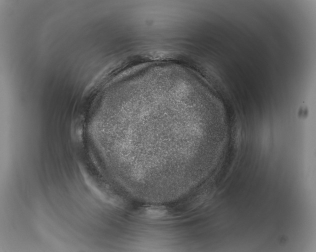 X0000114990214200911161521