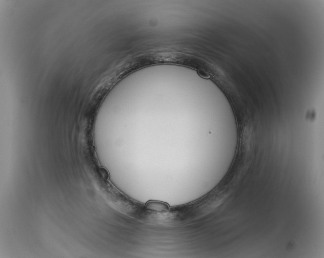 X0000114990217200911161521