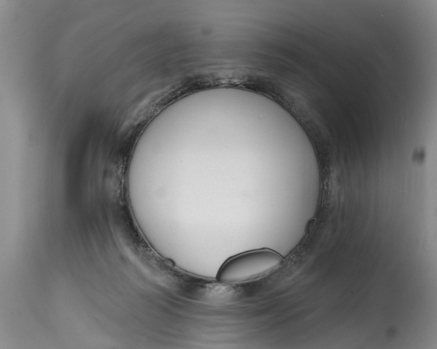 X0000114990218200911161521