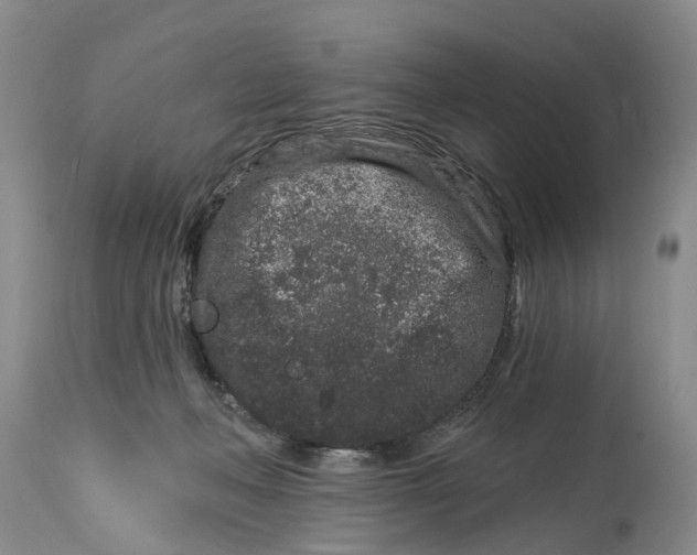 X0000114990222200911161521