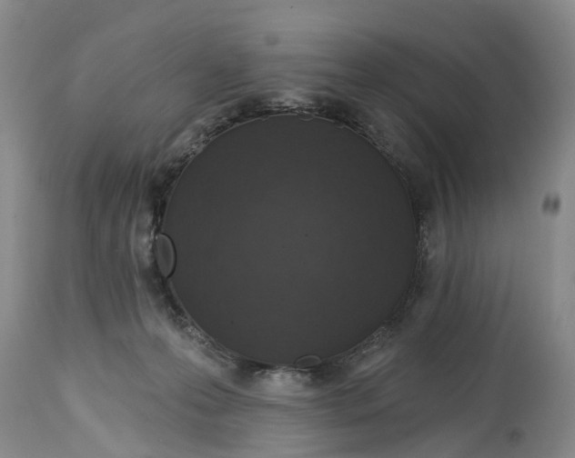 X0000114990223200911161521