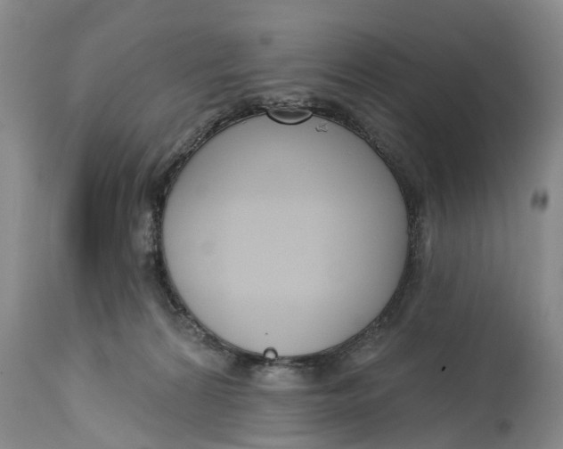 X0000114990224200911161521