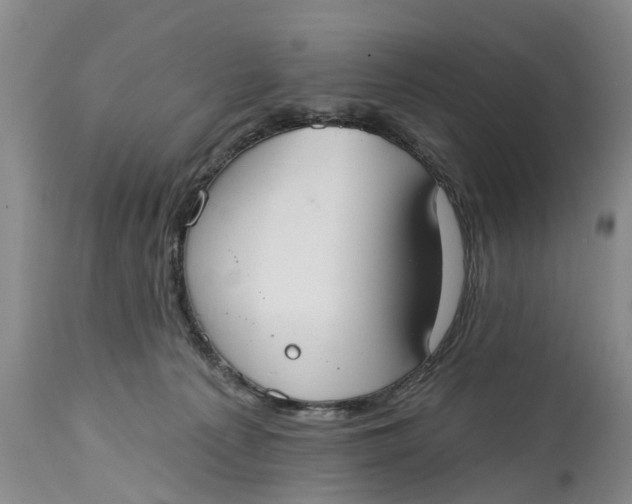 X0000114990225200911161521