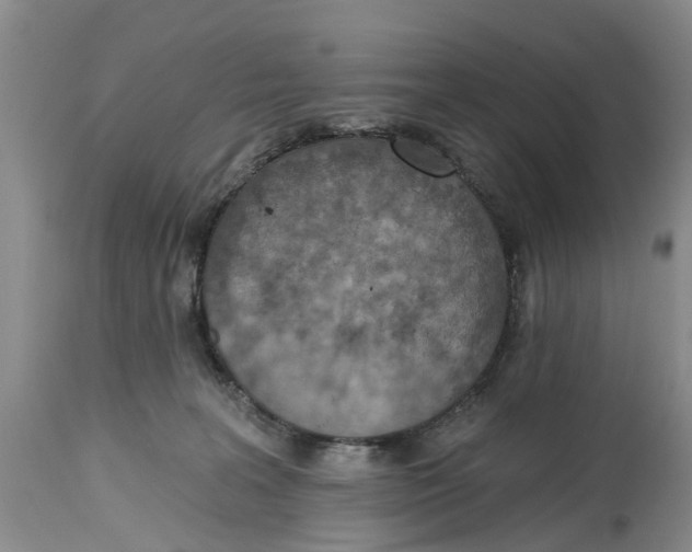 X0000114990227200911161521