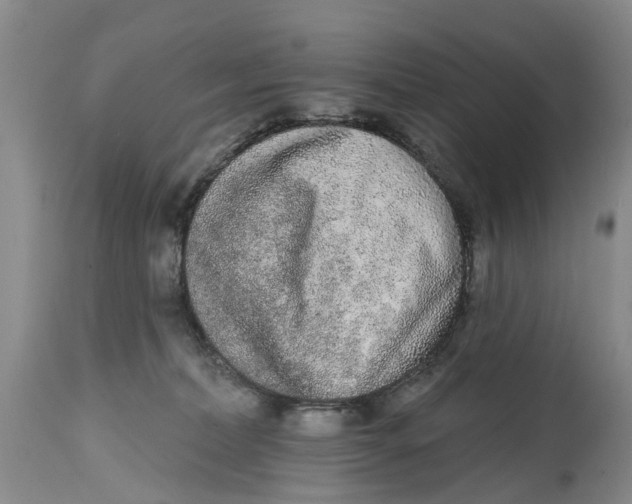 X0000114990228200911161521