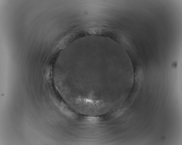 X0000114990233200911161521