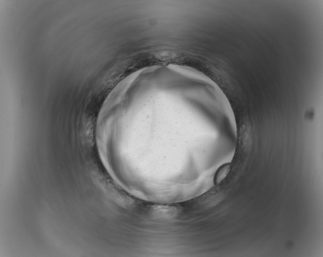 X0000114990234200911161521