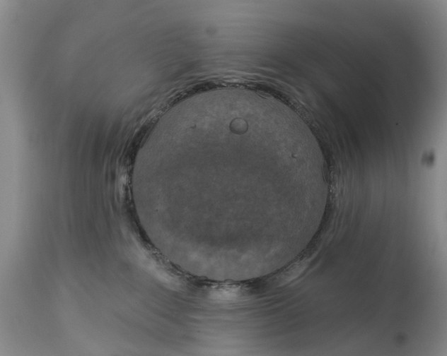 X0000114990235200911161521