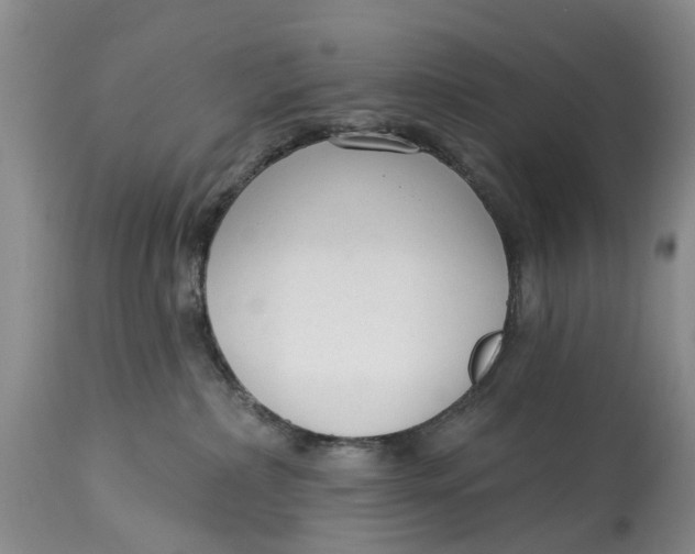 X0000114990236200911161521