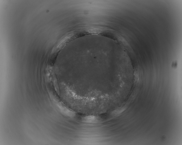 X0000114990237200911161521