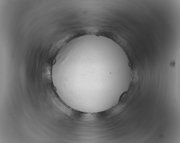 X0000114990238200911161521