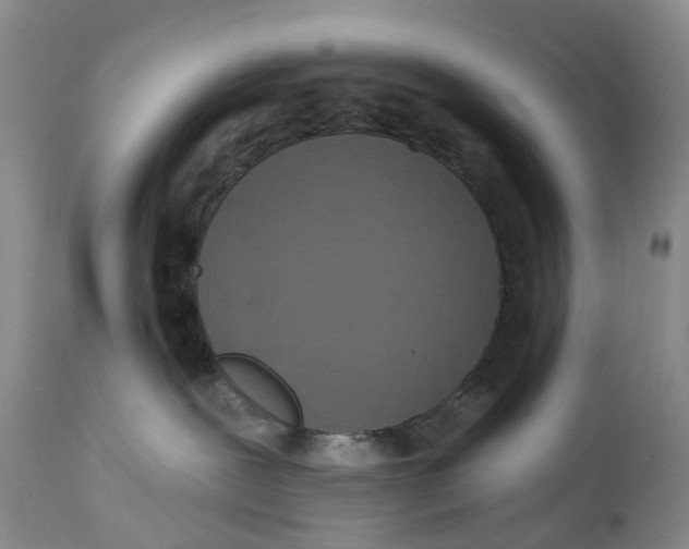 X0000114990239200911161521