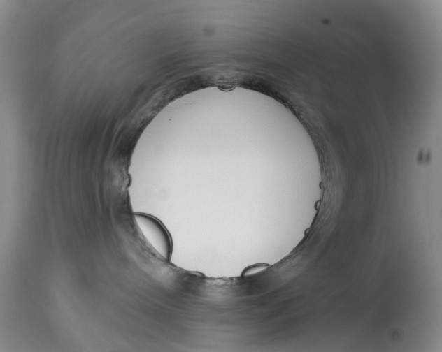 X0000114990240200911161521