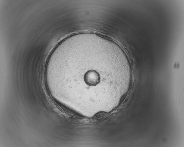 X0000114990241200911161520