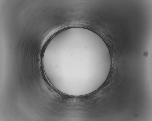 X0000114990244200911161520