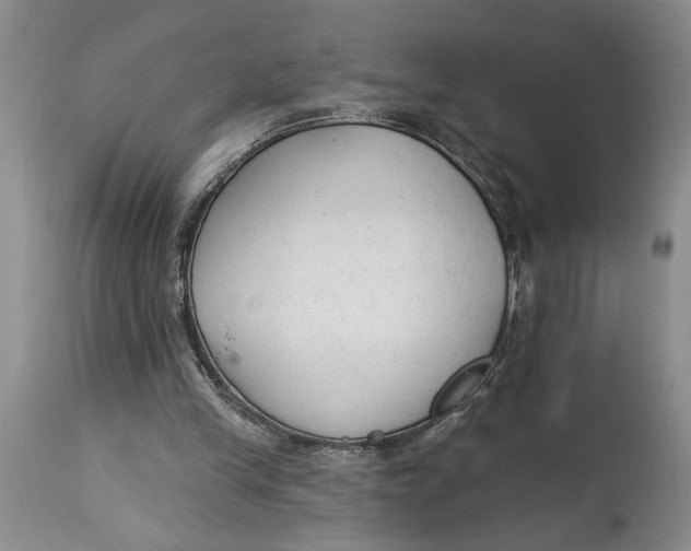 X0000114990245200911161520