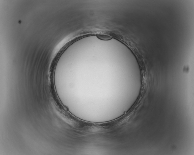 X0000114990246200911161520